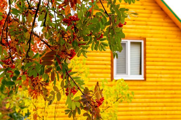 Cost of Garden Window Replacement in New York